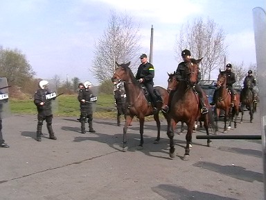 Stopklatka z filmu