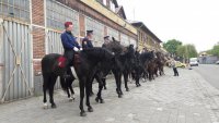 Policjanci z Zespołu konnego na szkoleniu w Budapeszcie.