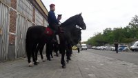 Policjanci z Zespołu konnego na szkoleniu w Budapeszcie.