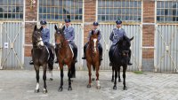 Policjanci z Zespołu konnego na szkoleniu w Budapeszcie.