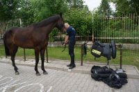 LEKCJA EKOLOGII Z CHORZOWSKĄ POLICJĄ KONNĄ