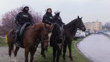 Policjanci w  trakcie zabezpieczenia meczu Ruchu Chorzów - Stal Stalowa Wola