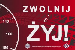 zwolnij i żyj