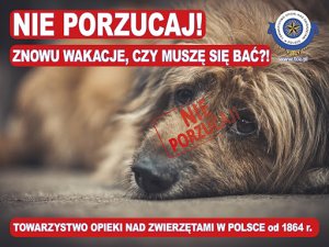 Plakat kampanii zorganizowanej przez Towarzystwo Opieki Nad Zwierzętami