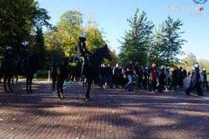 Policjanci na koniach służbowych zabezpieczają przejście kibiców