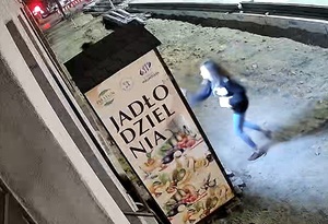 sprawczyni 2