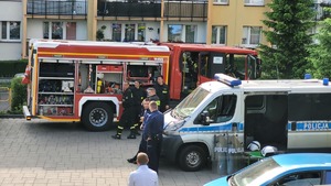 Samochody Policji i Straży