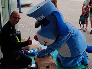 Zdjęcie przedstawia Sznupka biorącego udział w zajęciach z pierwszej pomocy