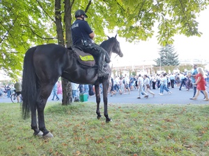 Zdjęcie przedstawia policjanta w patrolu konnym