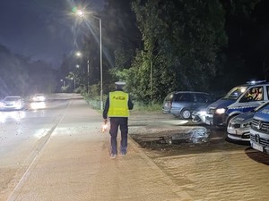 Zdjęcie przedstawia policjanta oraz policyjne radiowozy