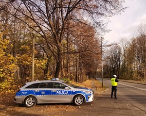 Zdjęcie przedstawia radiowóz oraz policjanta w jesiennej aurze