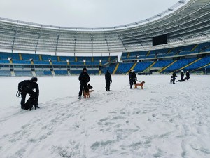 Zdjęcie przedstawia policjantów z psami