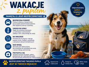 Grafika wygenerowana z wykorzystaniem sztucznej inteligencji